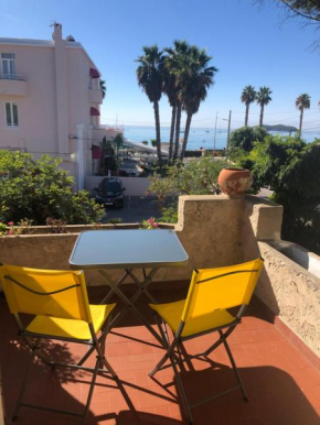Étoile de la plage T2